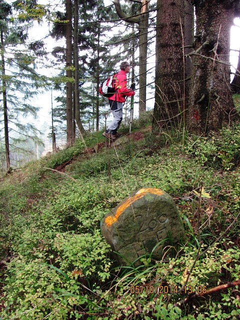 img00032.jpg