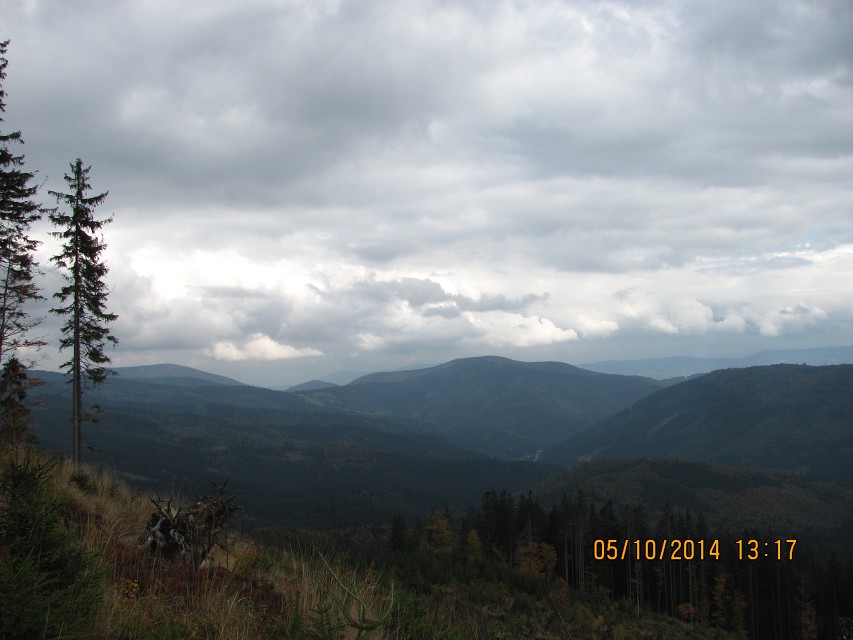 img00036.jpg
