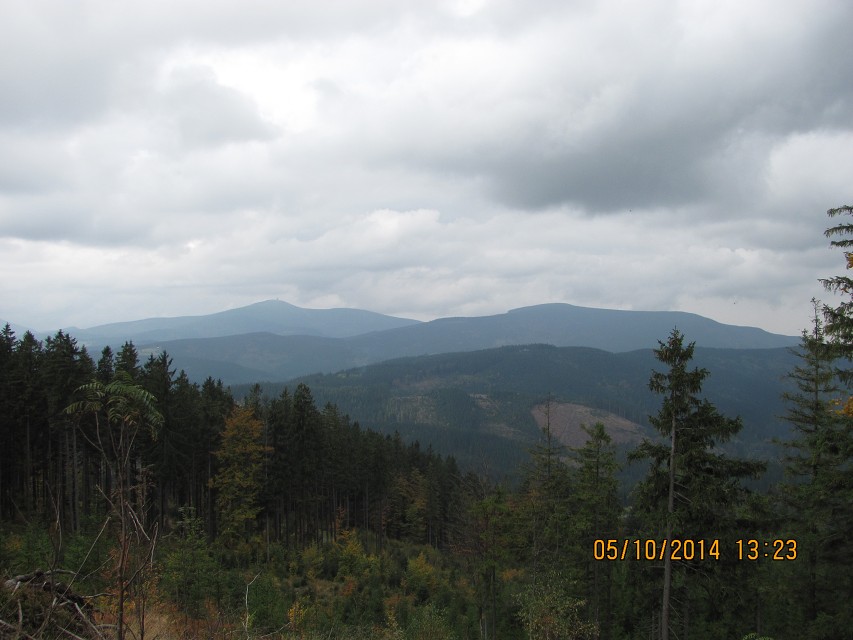 img00039.jpg
