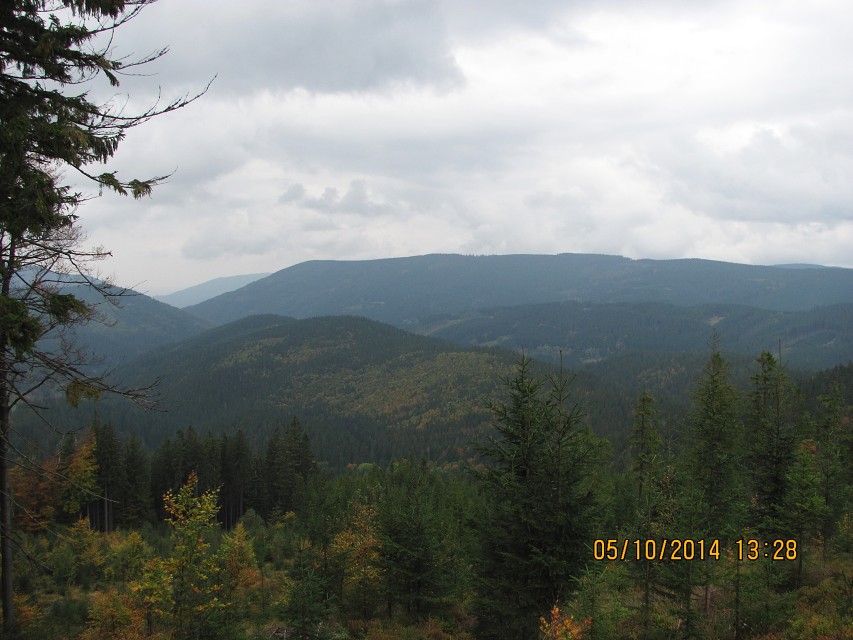 img00041.jpg