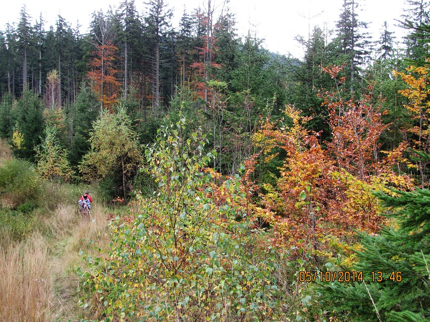 img00048.jpg