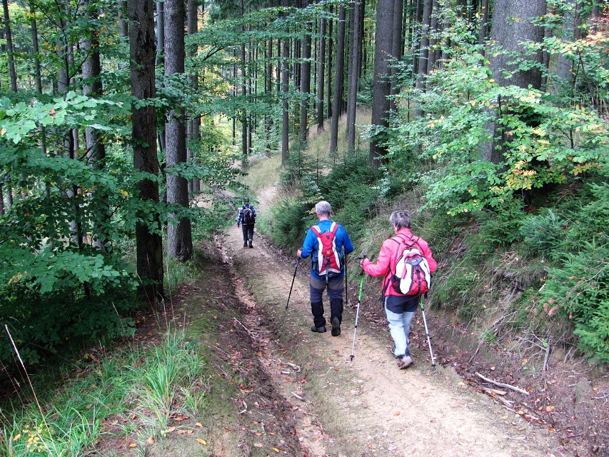 img00050.jpg