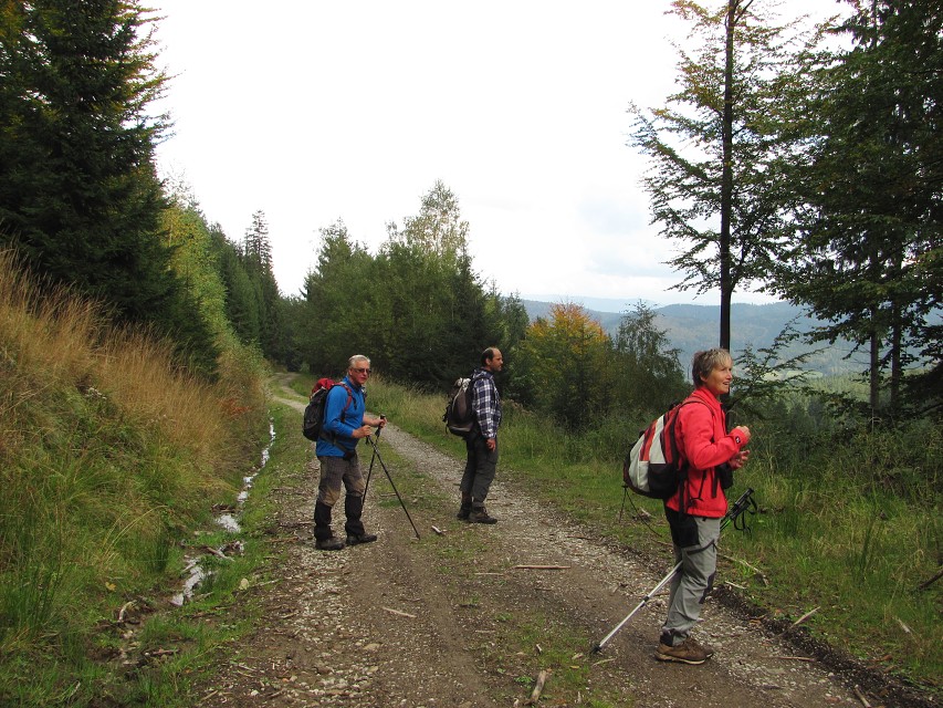 img00051.jpg