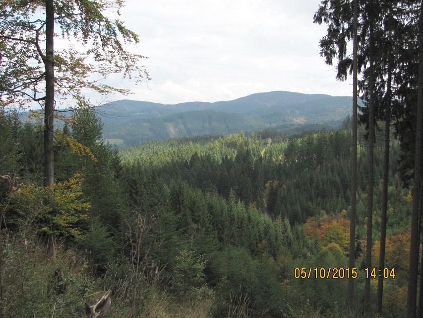 img00052.jpg
