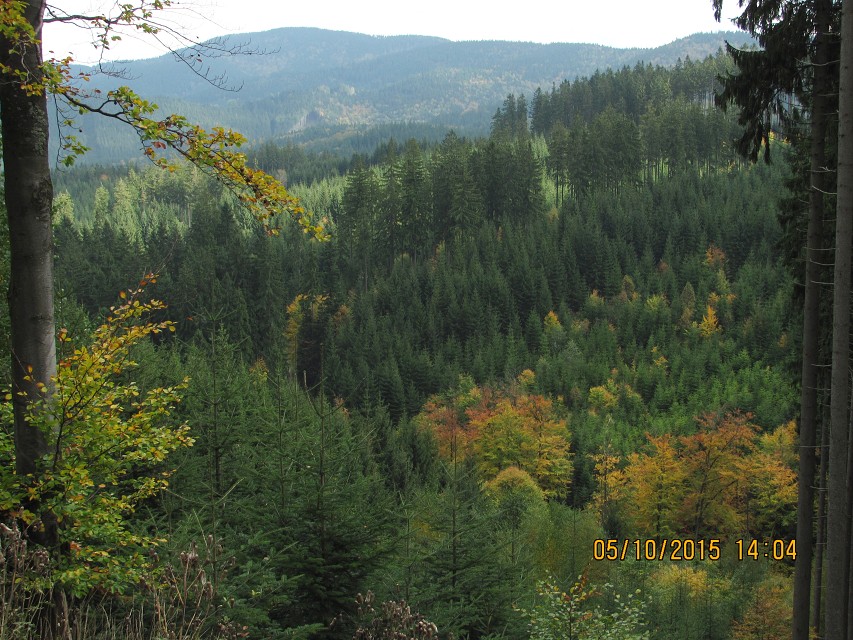 img00053.jpg