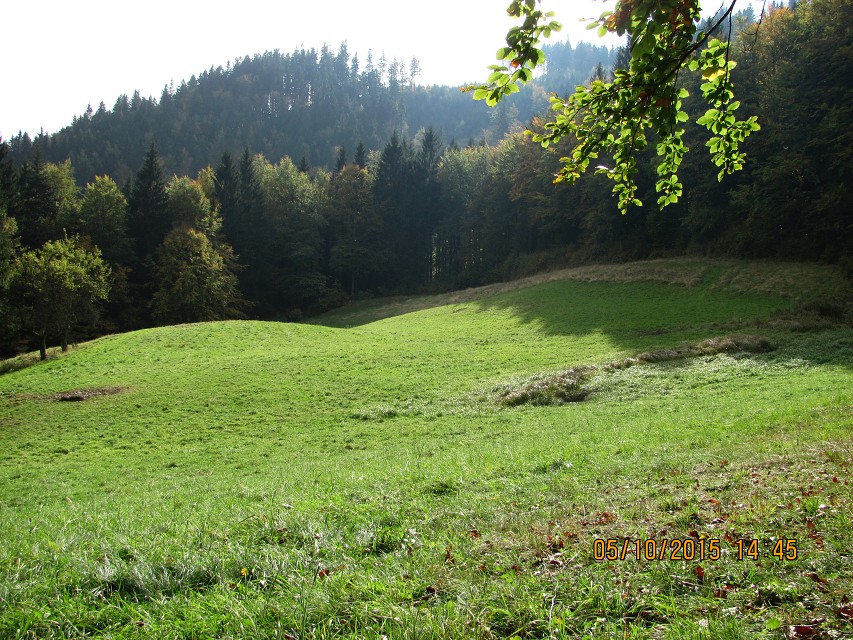 img00057.jpg