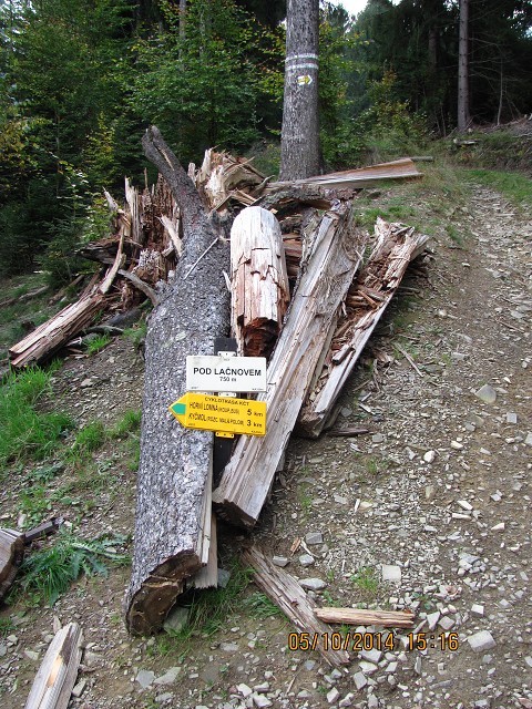img00059.jpg