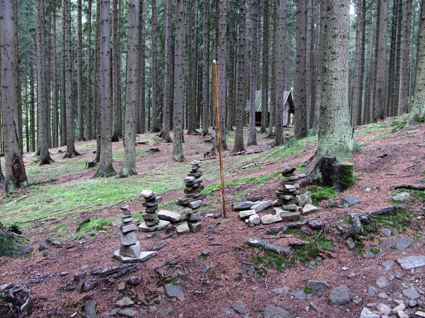 img00061.jpg