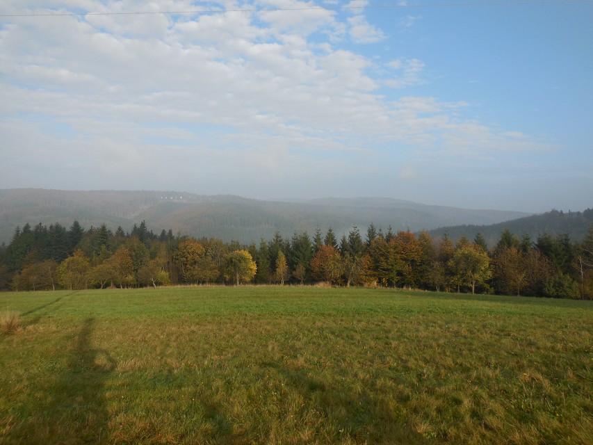 img00005.jpg