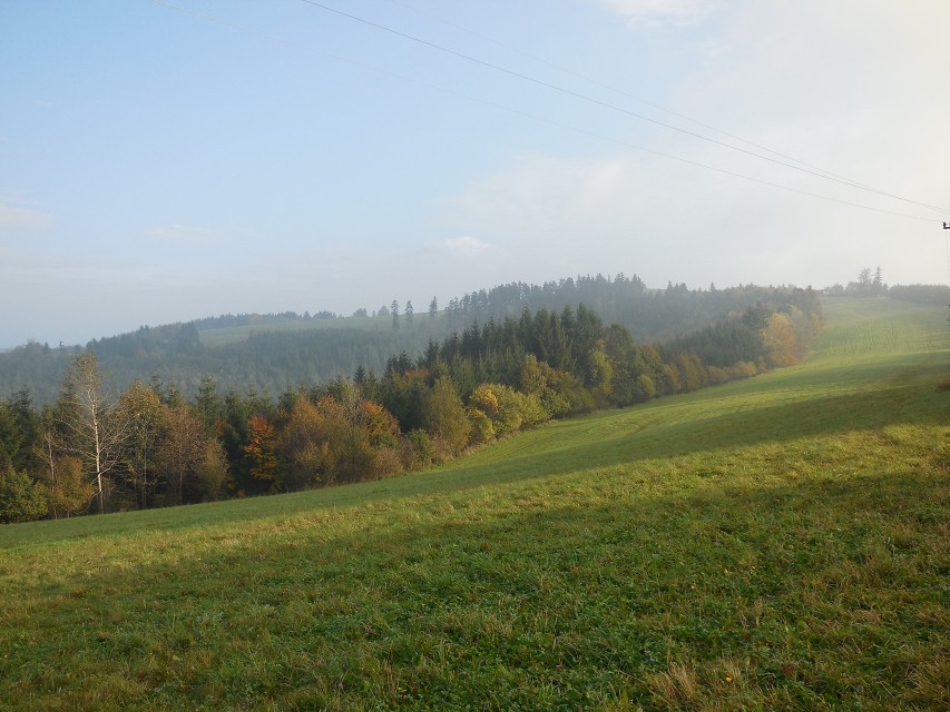 img00006.jpg