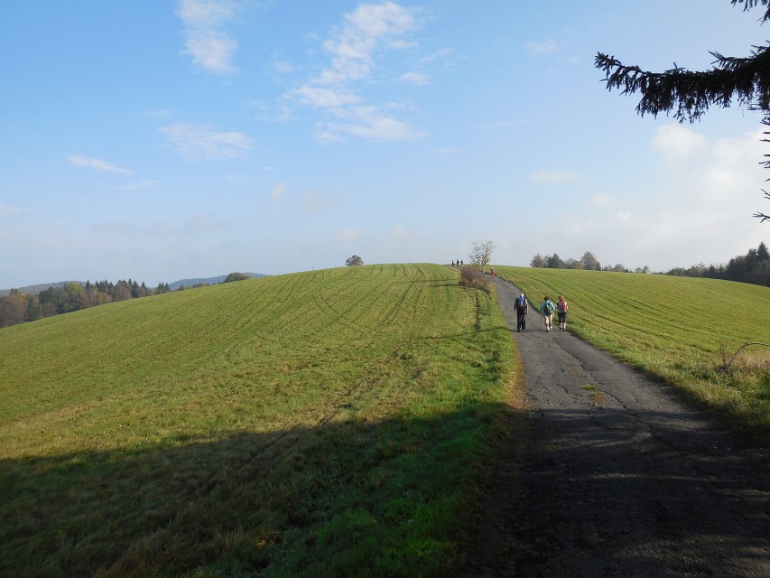 img00019.jpg