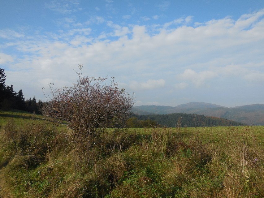 img00020.jpg
