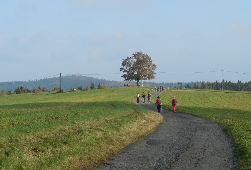 img00021.jpg