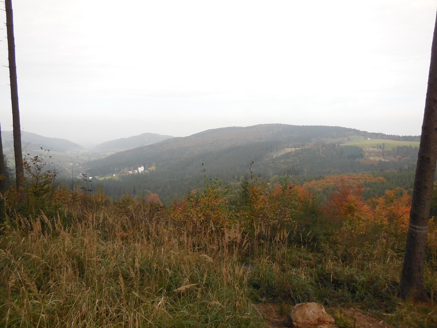 img00028.jpg