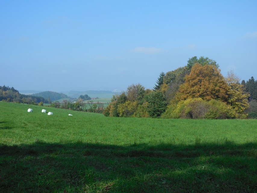 img00037.jpg