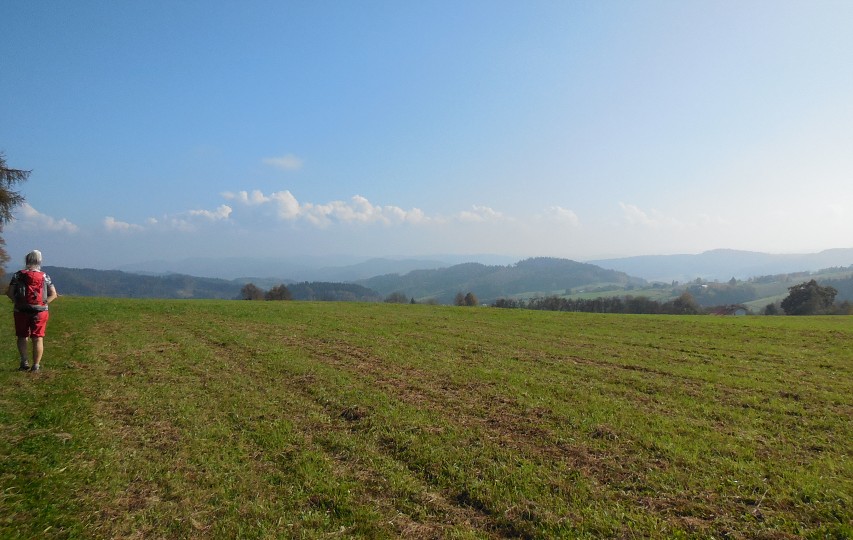 img00040.jpg