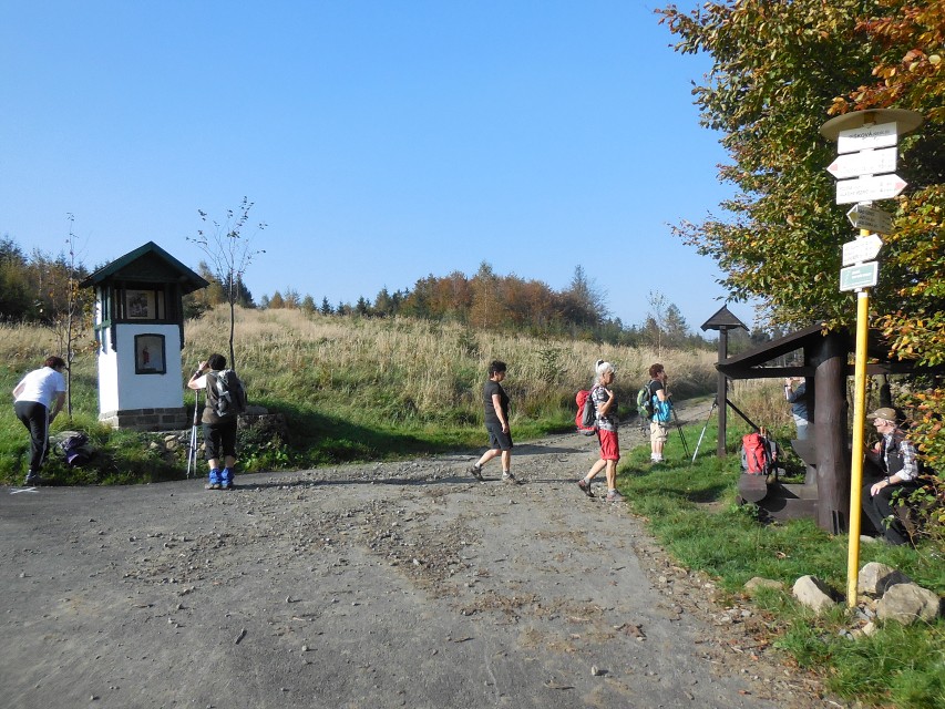 img00042.jpg