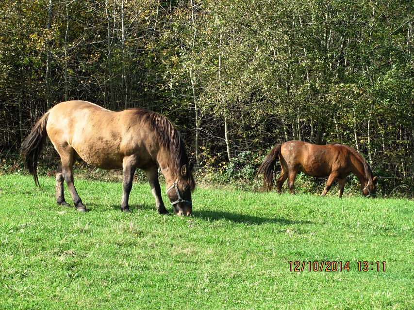 img00049.jpg