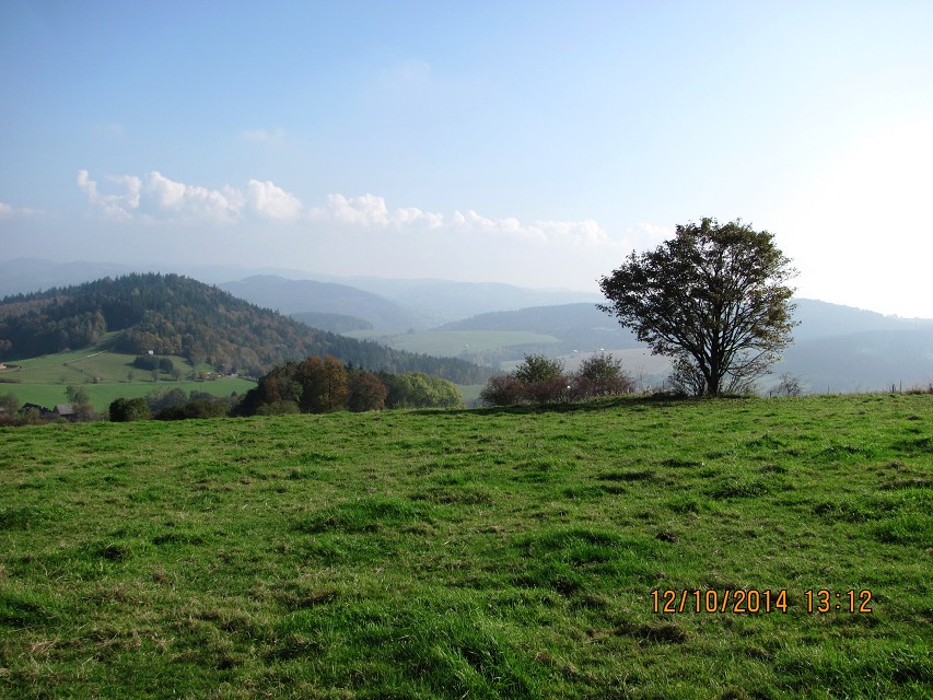 img00051.jpg
