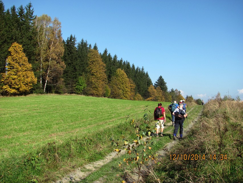 img00059.jpg