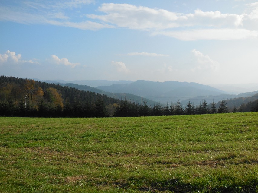 img00062.jpg