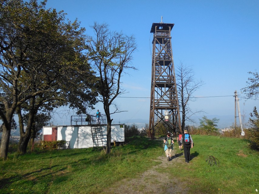 img00063.jpg