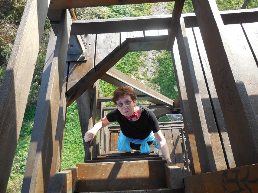 img00064.jpg