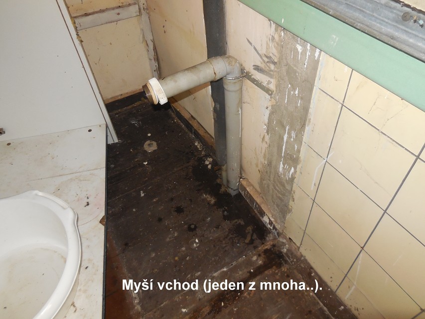 img00013.jpg