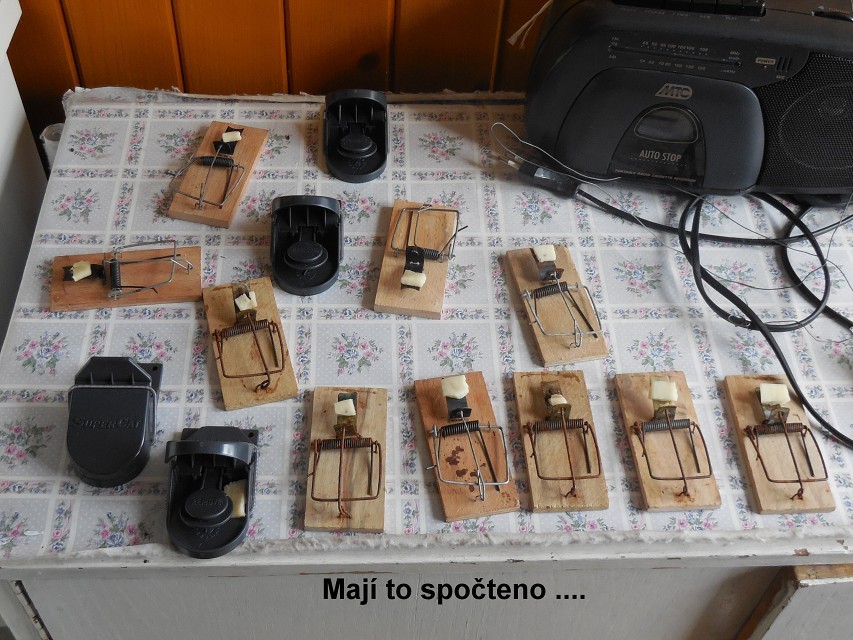 img00014.jpg