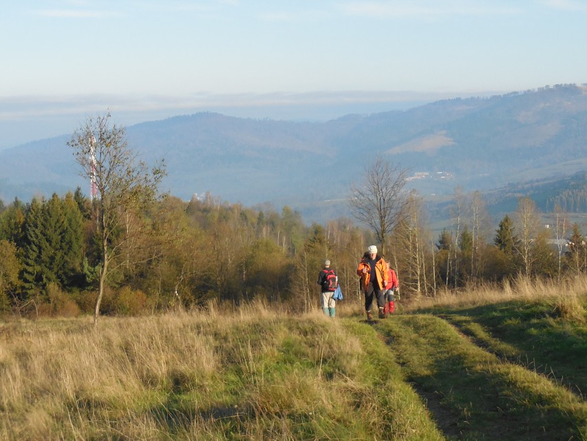 img00004.jpg