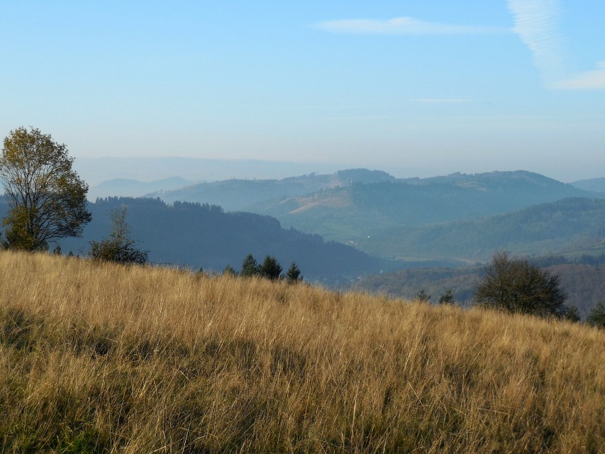 img00005.jpg