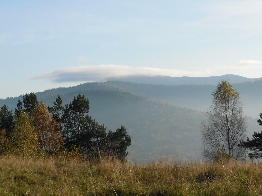 img00006.jpg
