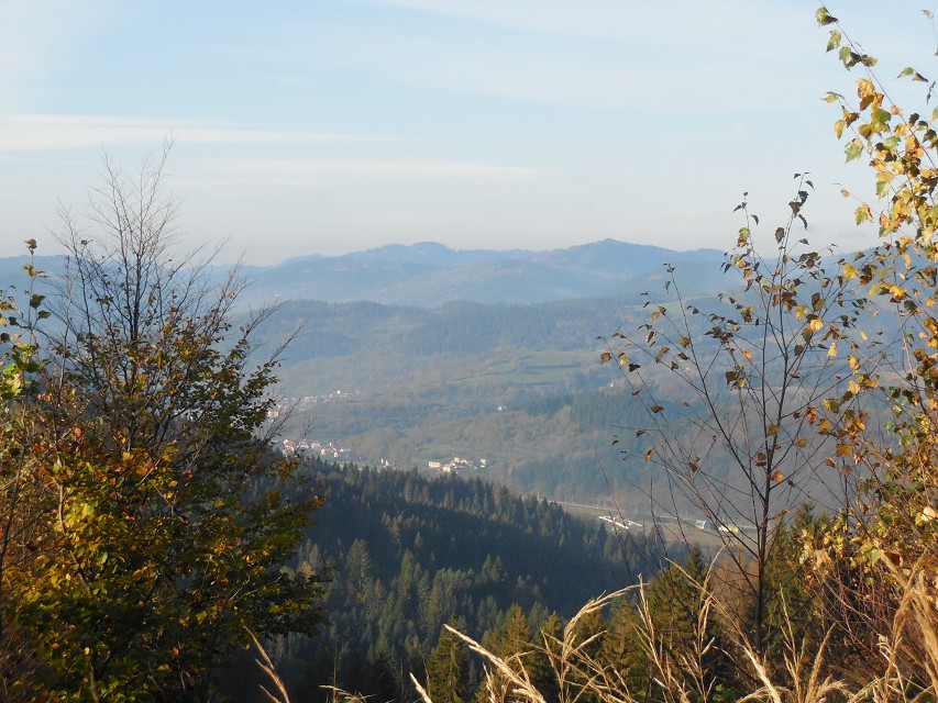 img00008.jpg