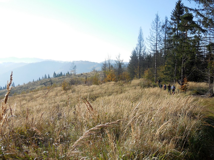 img00011.jpg