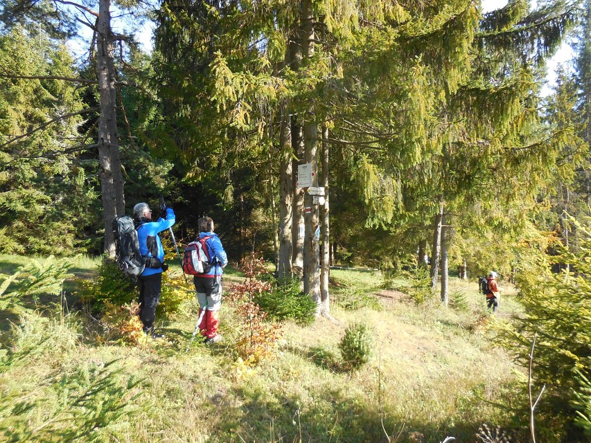 img00014.jpg