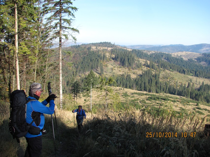img00017.jpg