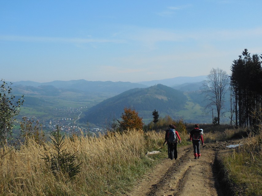 img00020.jpg