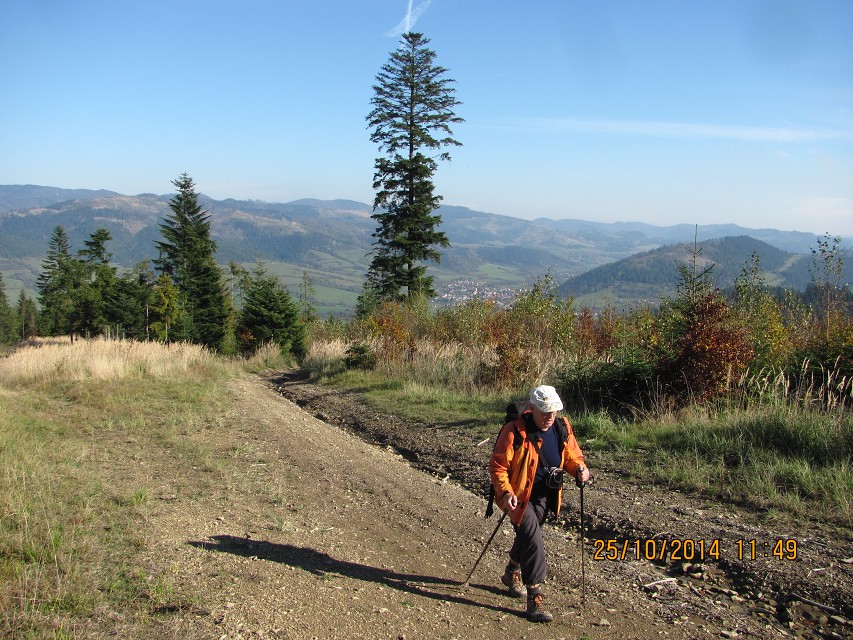 img00024.jpg