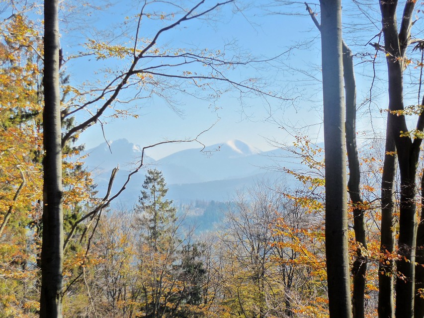 img00031.jpg
