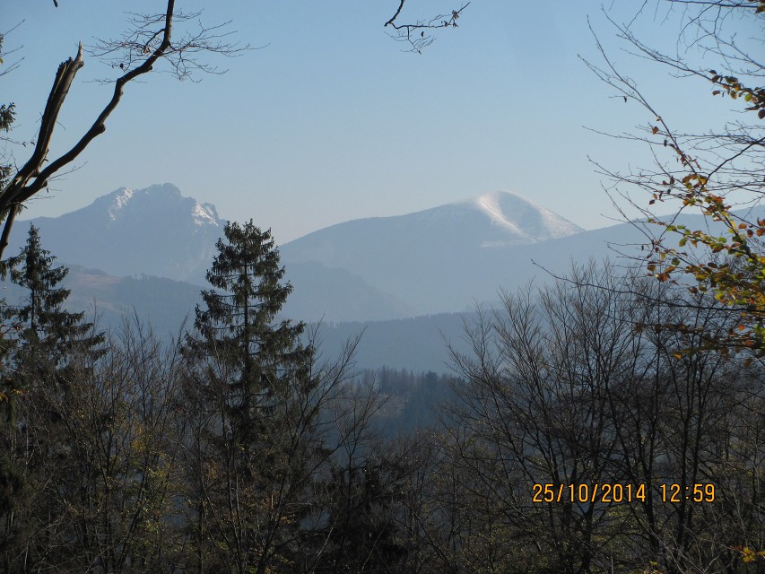 img00032.jpg