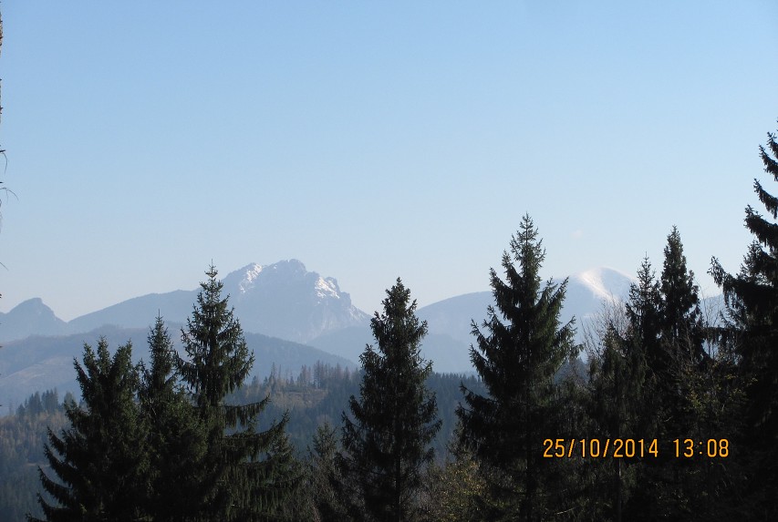 img00035.jpg