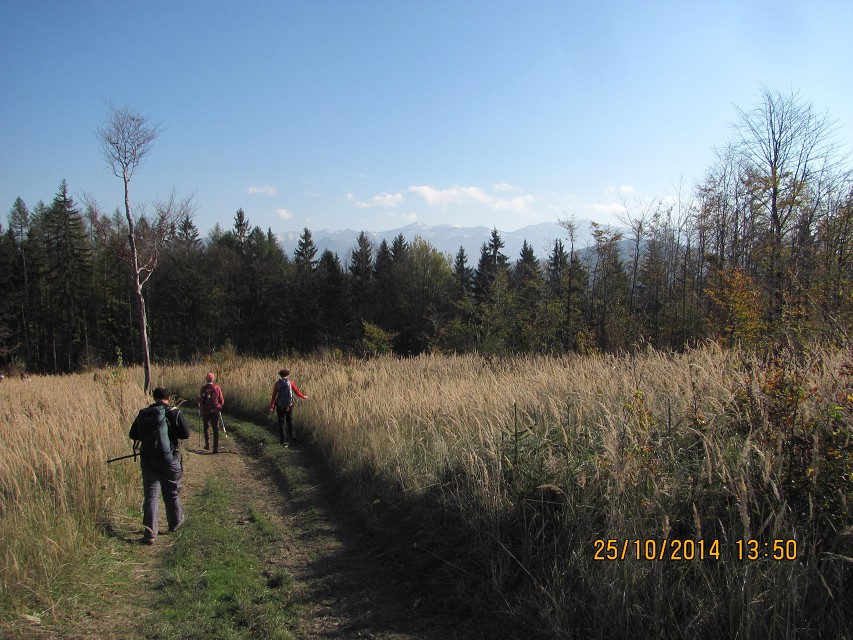 img00037.jpg