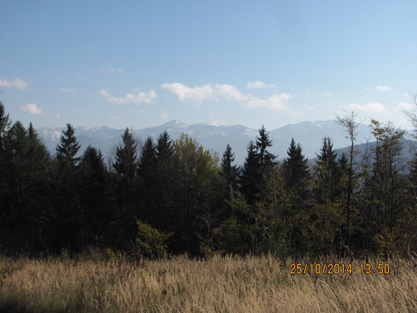 img00038.jpg