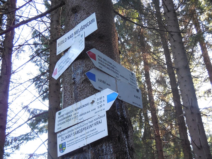 img00043.jpg