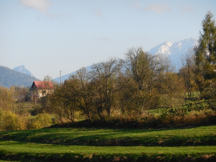 img00046.jpg