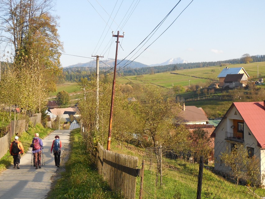 img00049.jpg