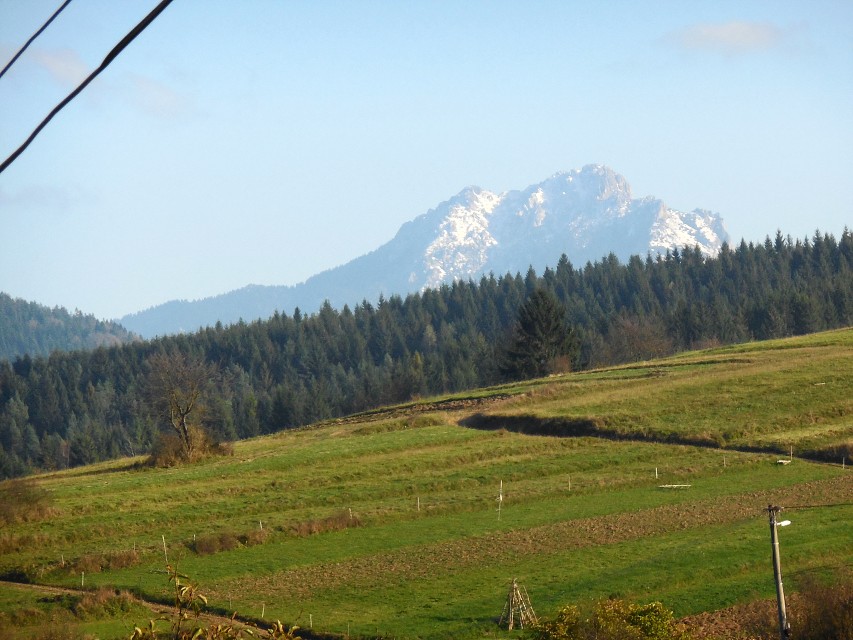 img00050.jpg