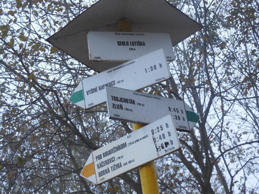 img00062.jpg