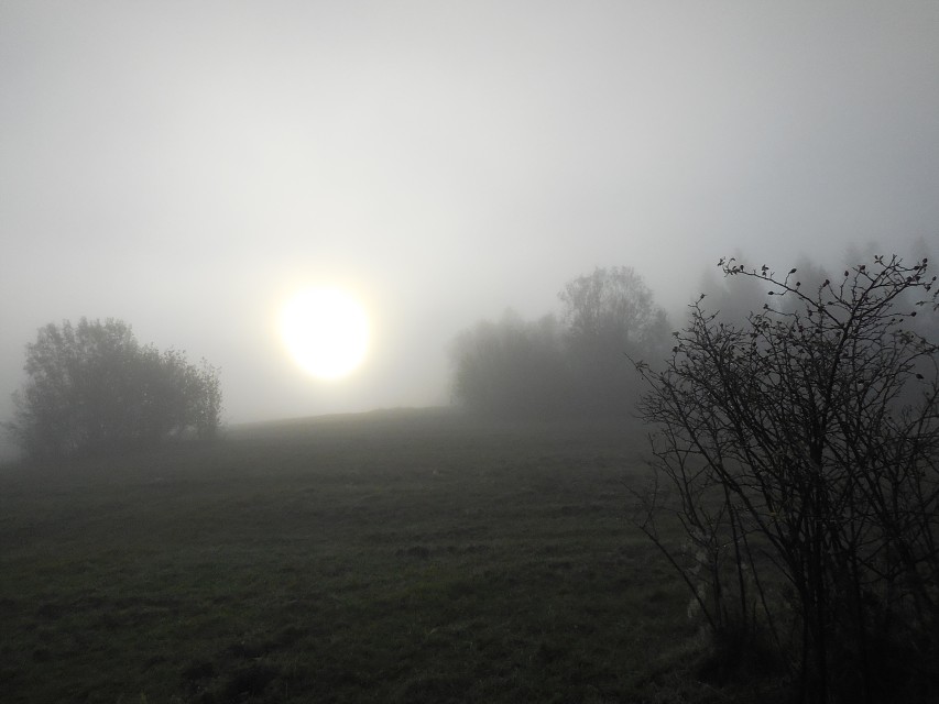 img00065.jpg