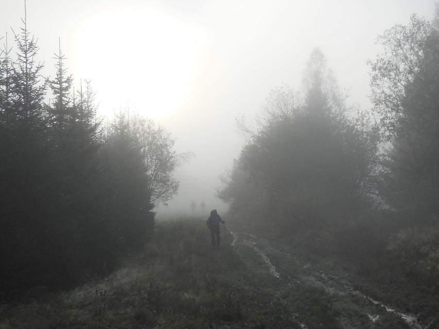 img00066.jpg